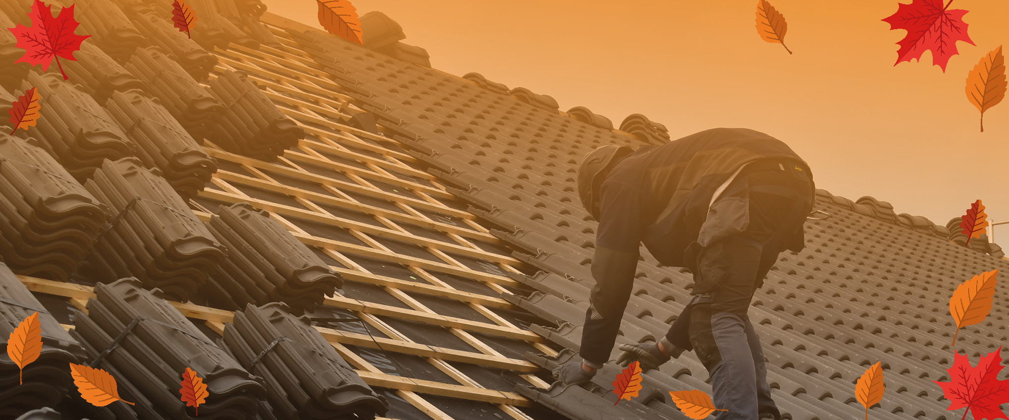 Herfstcampagne Banner website.jpg