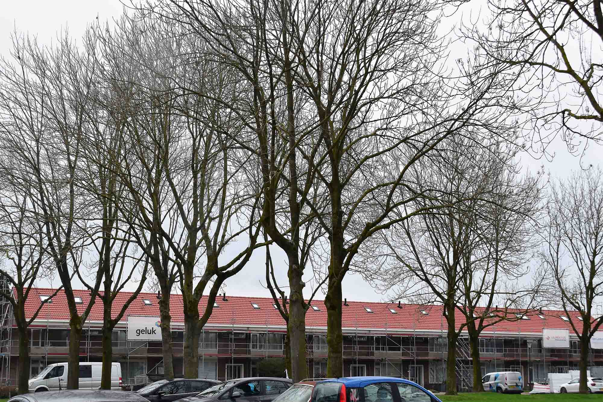 Project renovatie afgerond dak 100 woningen Breda foto 4